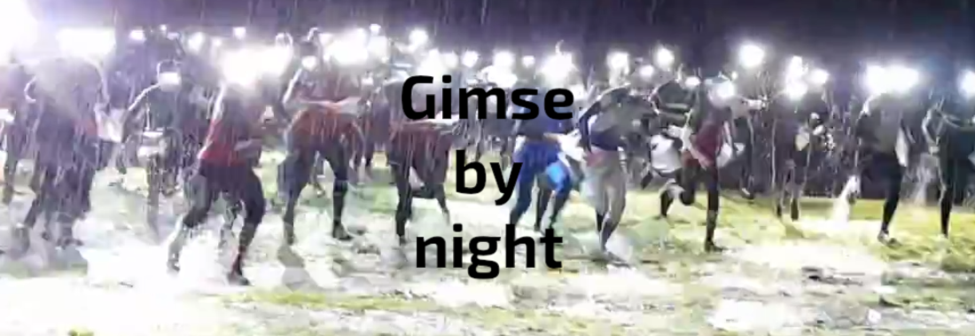 Gimse by night / O6